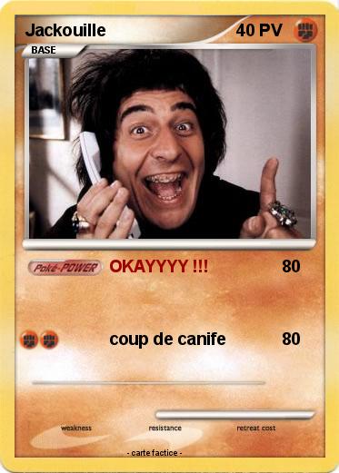 Pokemon Jackouille