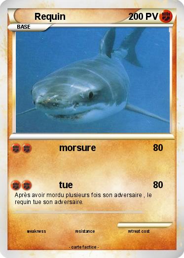 Pokemon Requin