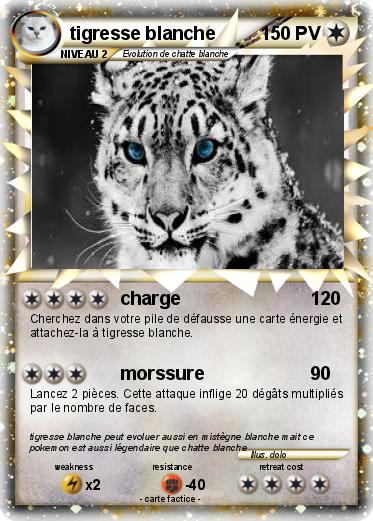 Pokemon tigresse blanche