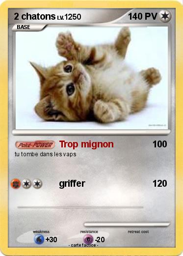 Pokemon 2 chatons
