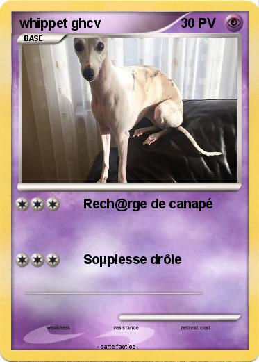 Pokemon whippet ghcv