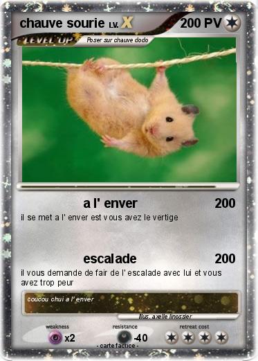 Pokemon chauve sourie