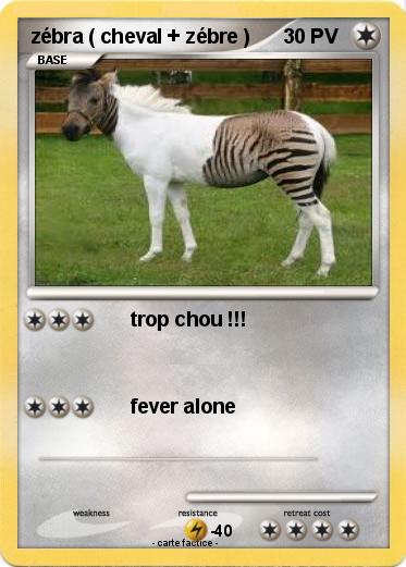 Pokemon zébra ( cheval + zébre )