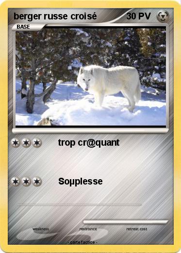 Pokemon berger russe croisé