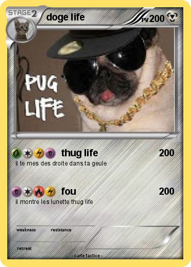 Pokemon doge life