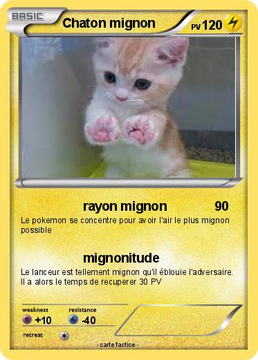 Pokemon Chaton mignon
