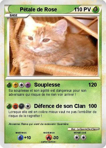 Pokemon Pétale de Rose