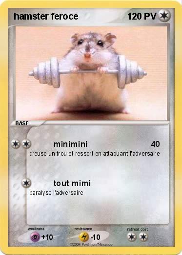Pokemon hamster feroce