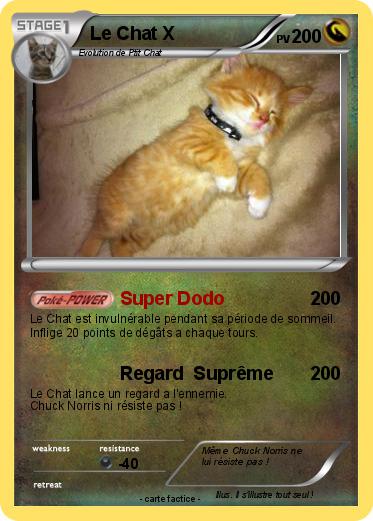 Pokemon Le Chat X