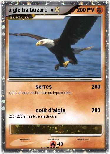 Pokemon aigle balbuzard