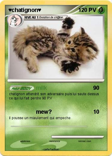 Pokemon ♥chatignon♥