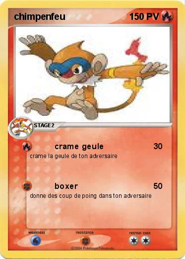 Pokemon chimpenfeu