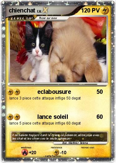 Pokemon chienchat