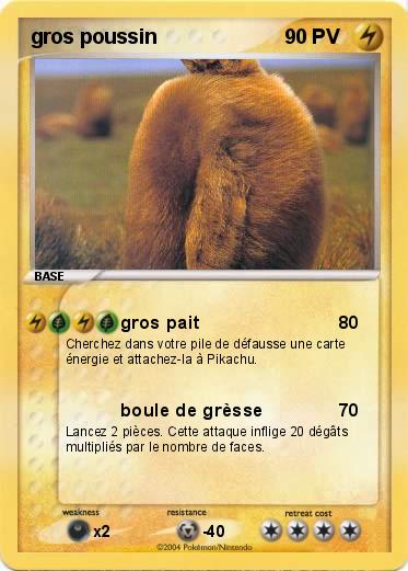 Pokemon gros poussin