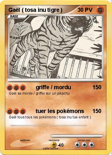 Pokemon Gaël ( tosa inu tigre )