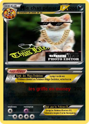 Pokemon le chat pénard