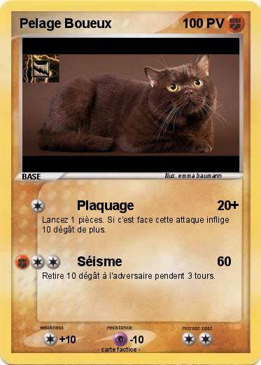 Pokemon Pelage Boueux