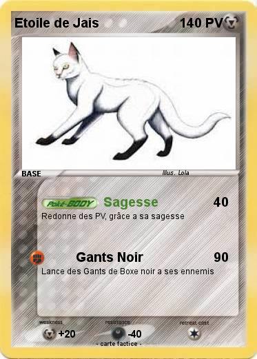 Pokemon Etoile de Jais