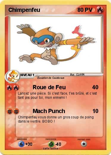 Pokemon Chimpenfeu