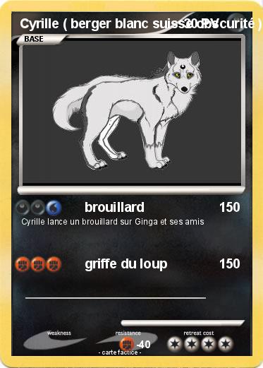 Pokemon Cyrille ( berger blanc suisse obscurité )