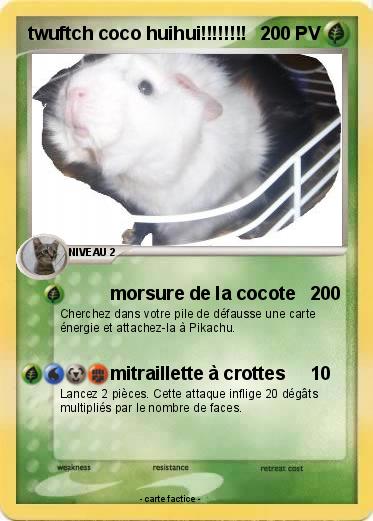 Pokemon twuftch coco huihui!!!!!!!!