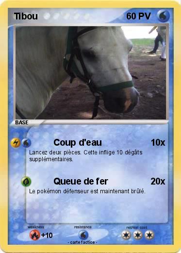 Pokemon Tibou
