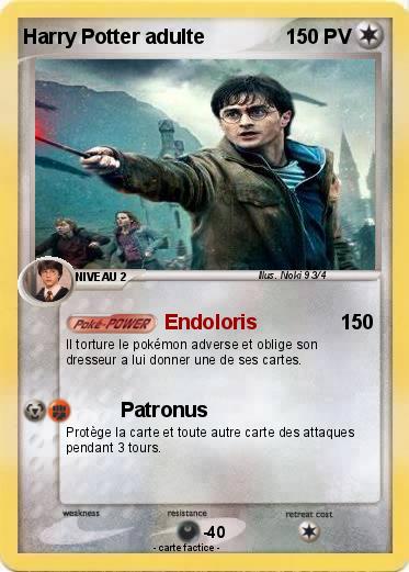 Pokemon Harry Potter adulte