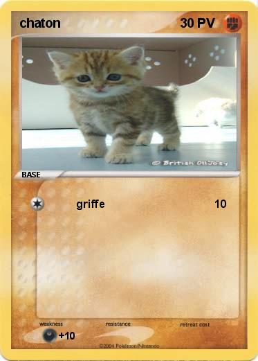 Pokemon chaton