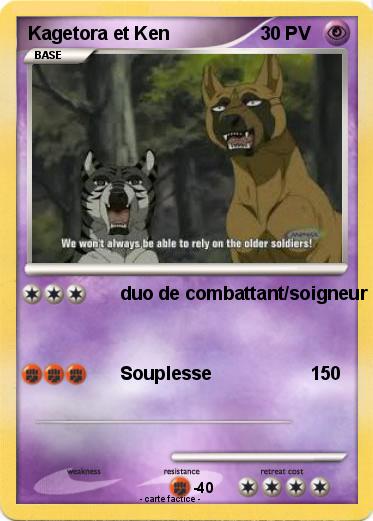 Pokemon Kagetora et Ken