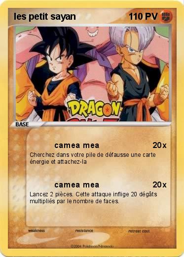 Pokemon les petit sayan