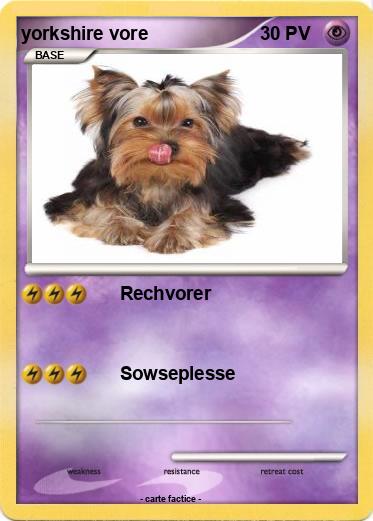 Pokemon yorkshire vore