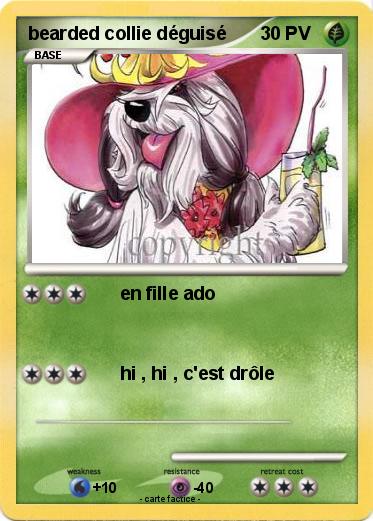 Pokemon bearded collie déguisé