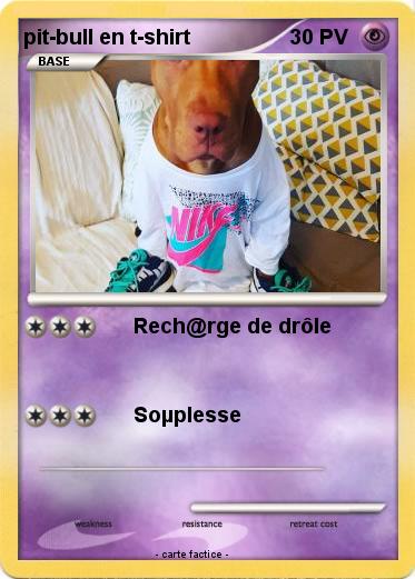 Pokemon pit-bull en t-shirt