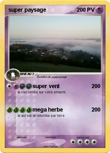 Pokemon super paysage