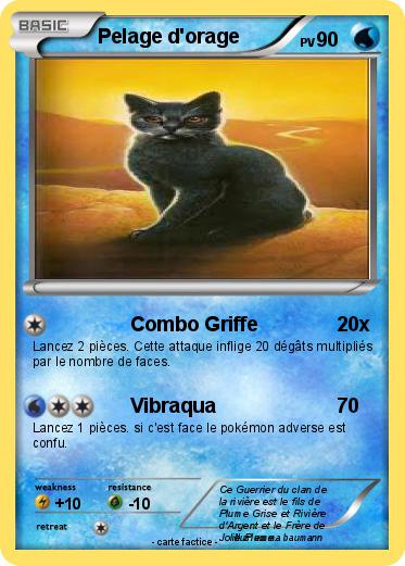 Pokemon Pelage d'orage