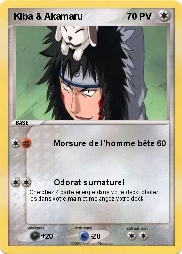 Pokemon KIba & Akamaru 