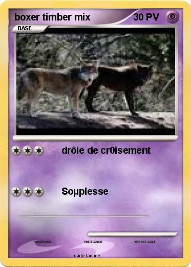 Pokemon boxer timber mix