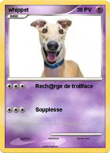Pokemon whippet