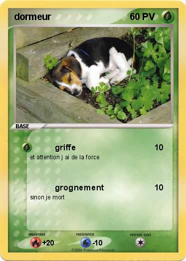 Pokemon dormeur