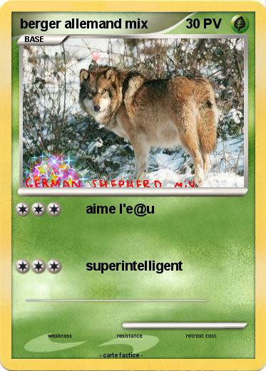Pokemon berger allemand mix
