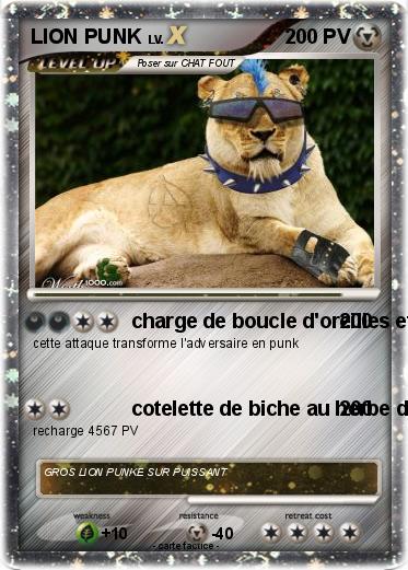 Pokemon LION PUNK