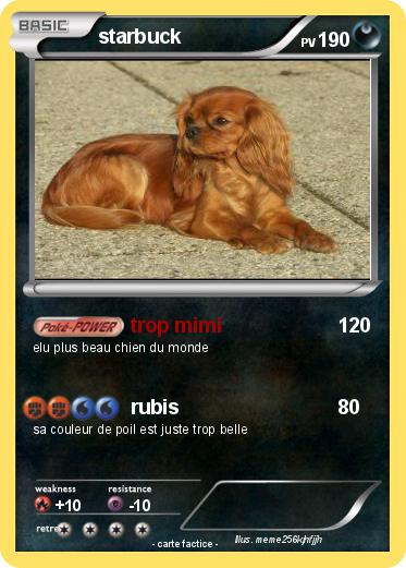 Pokemon starbuck