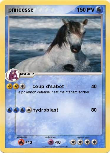 Pokemon princesse 