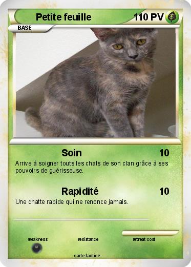 Pokemon Petite feuille