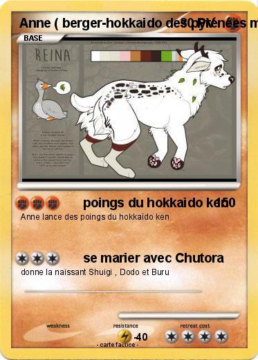 Pokemon Anne ( berger-hokkaido des pyrénées mix )