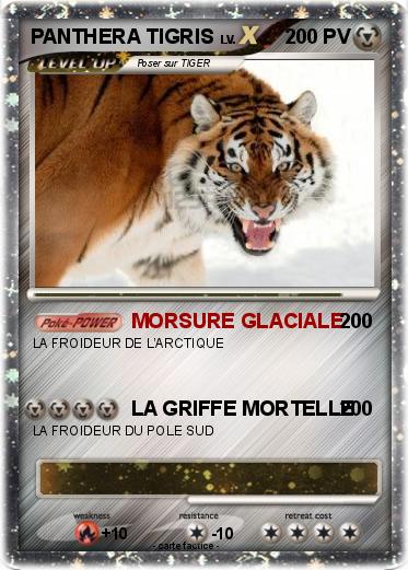 Pokemon PANTHERA TIGRIS