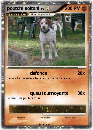 Pokemon poutchi soltani
