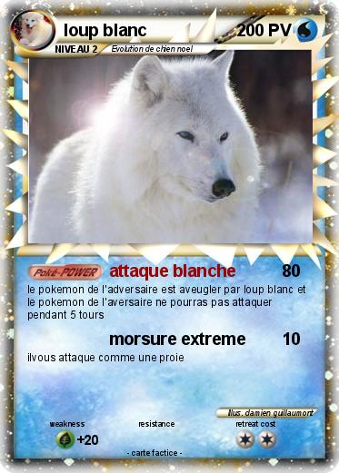 Pokemon loup blanc