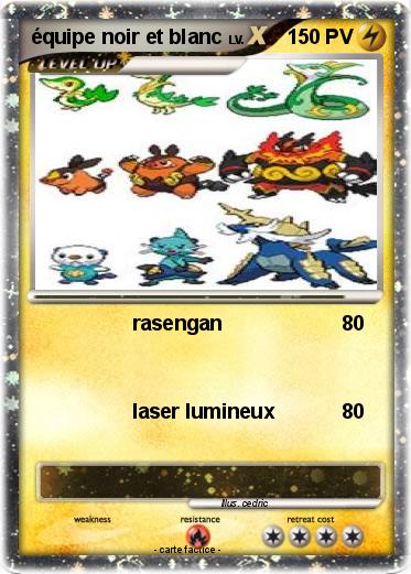 Pokemon équipe noir et blanc