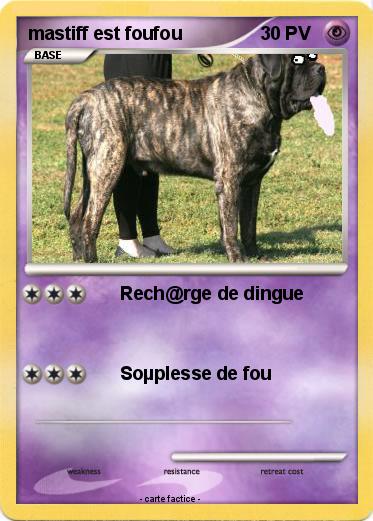Pokemon mastiff est foufou